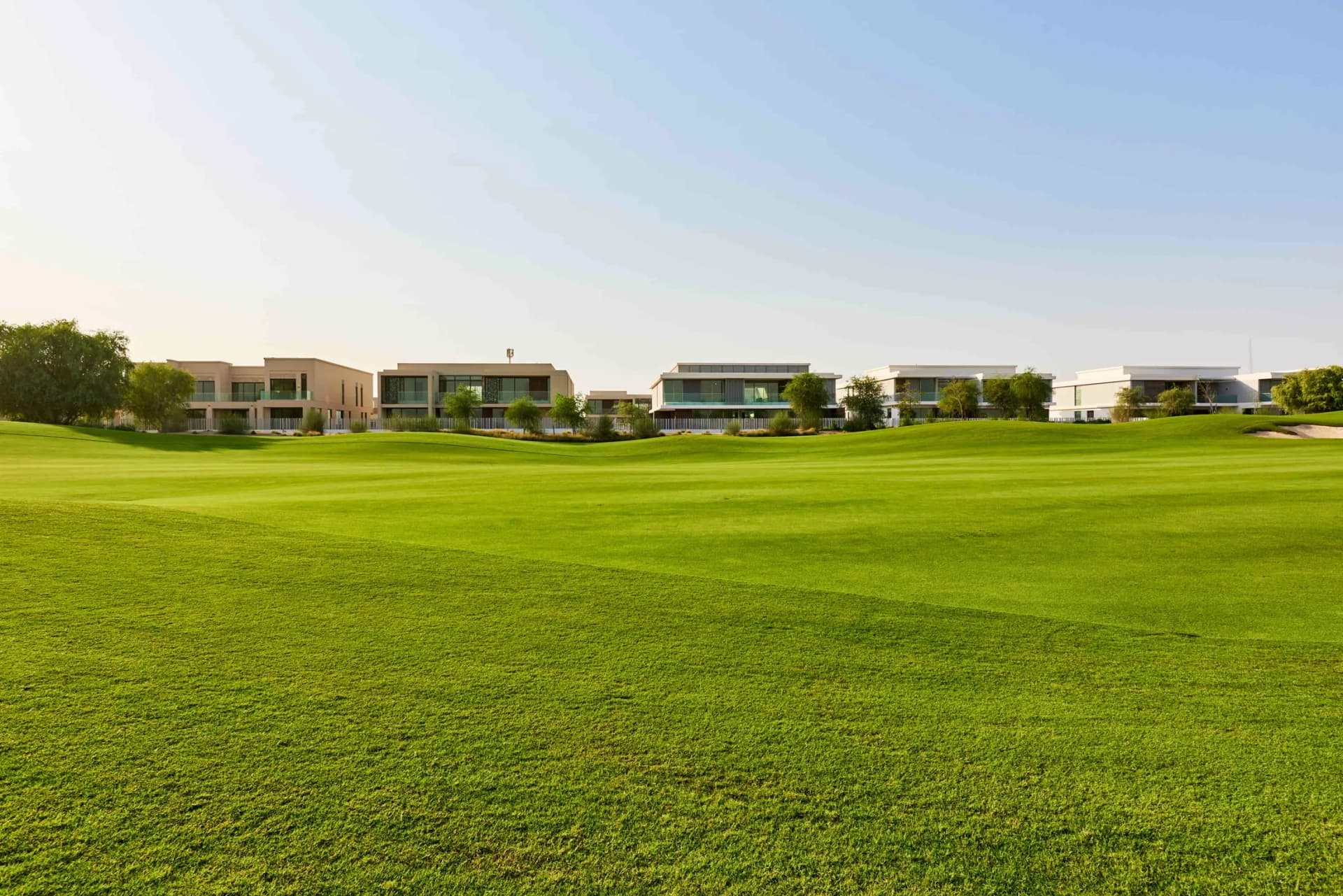 Emerald Hills